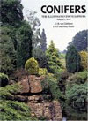 Conifers